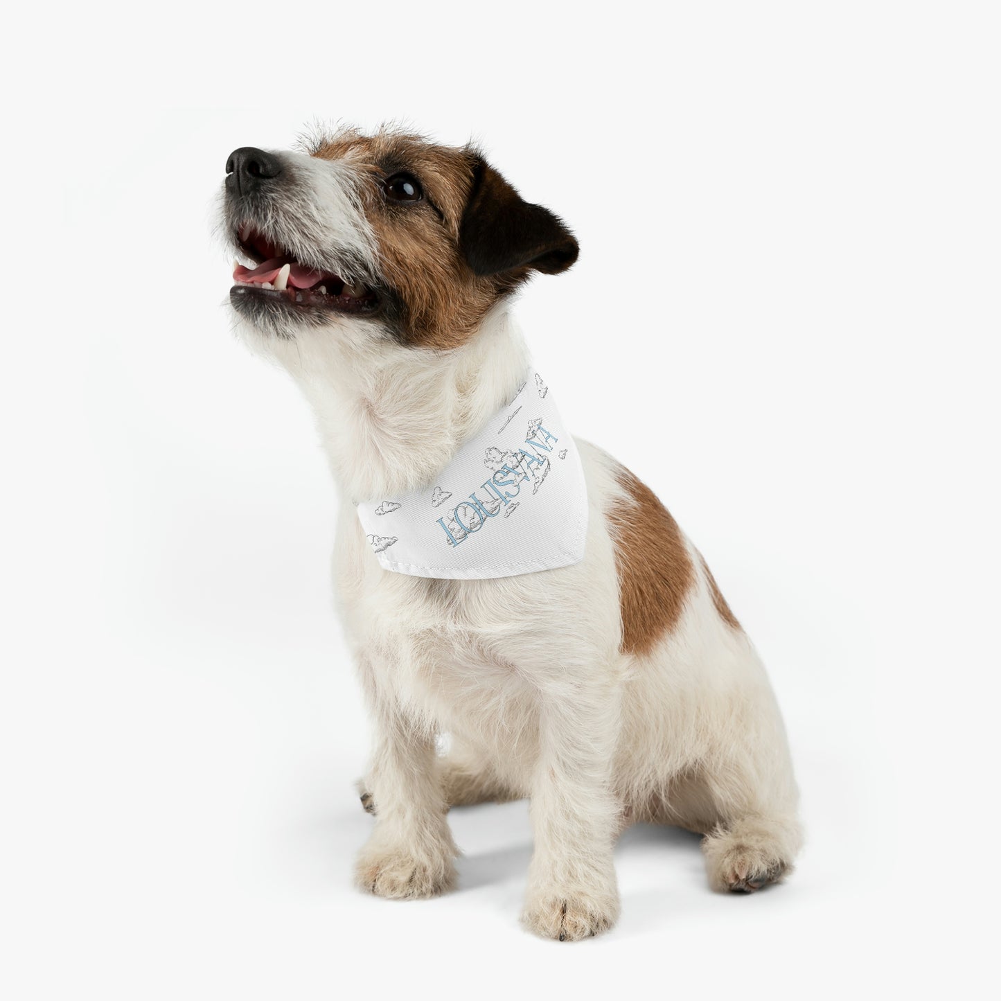 LOUISVANA™ Pet Bandana