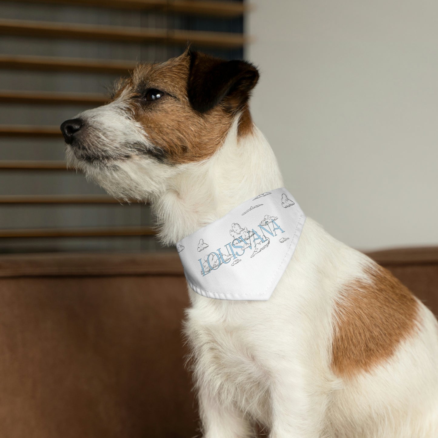 LOUISVANA™ Pet Bandana